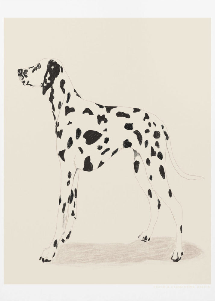 Pandc Dalmation - Poster / Art Print