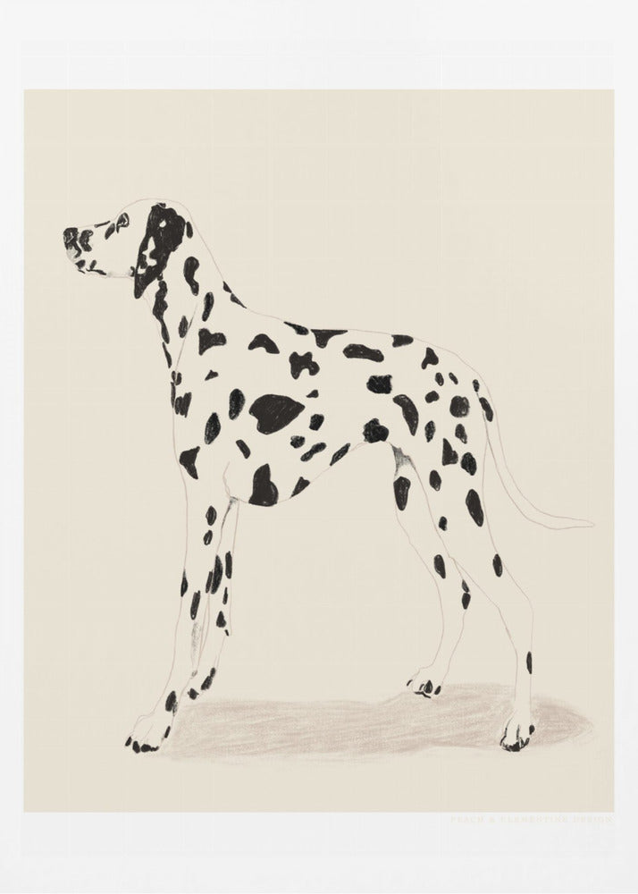 Pandc Dalmation - Poster / Art Print