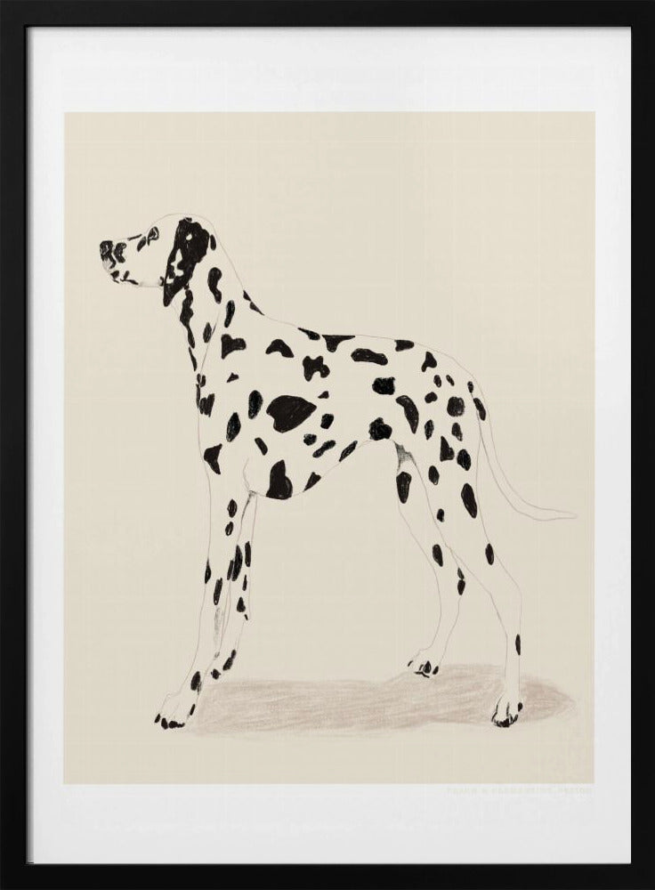 Pandc Dalmation - Poster / Art Print