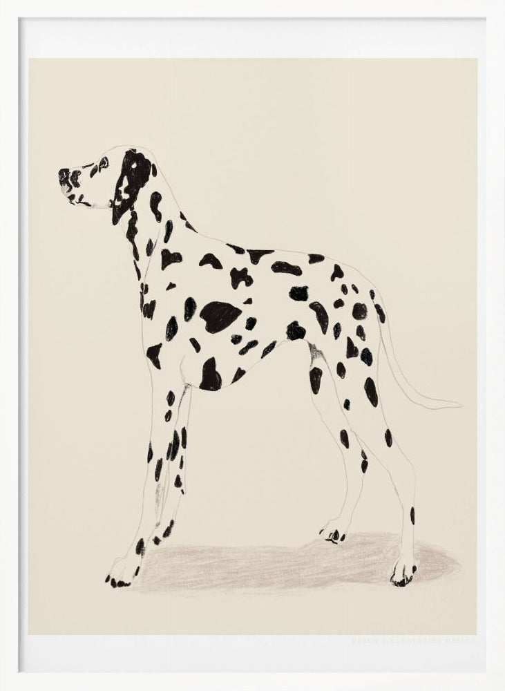 Pandc Dalmation - Poster / Art Print
