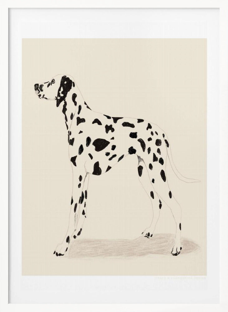 Pandc Dalmation - Poster / Art Print