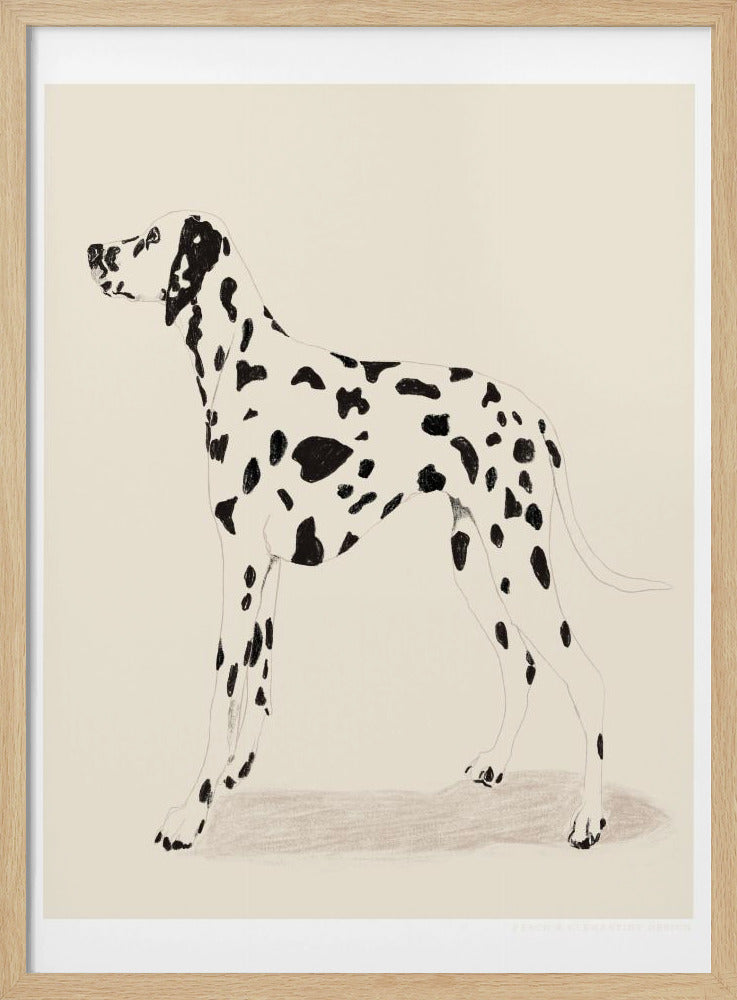 Pandc Dalmation - Poster / Art Print
