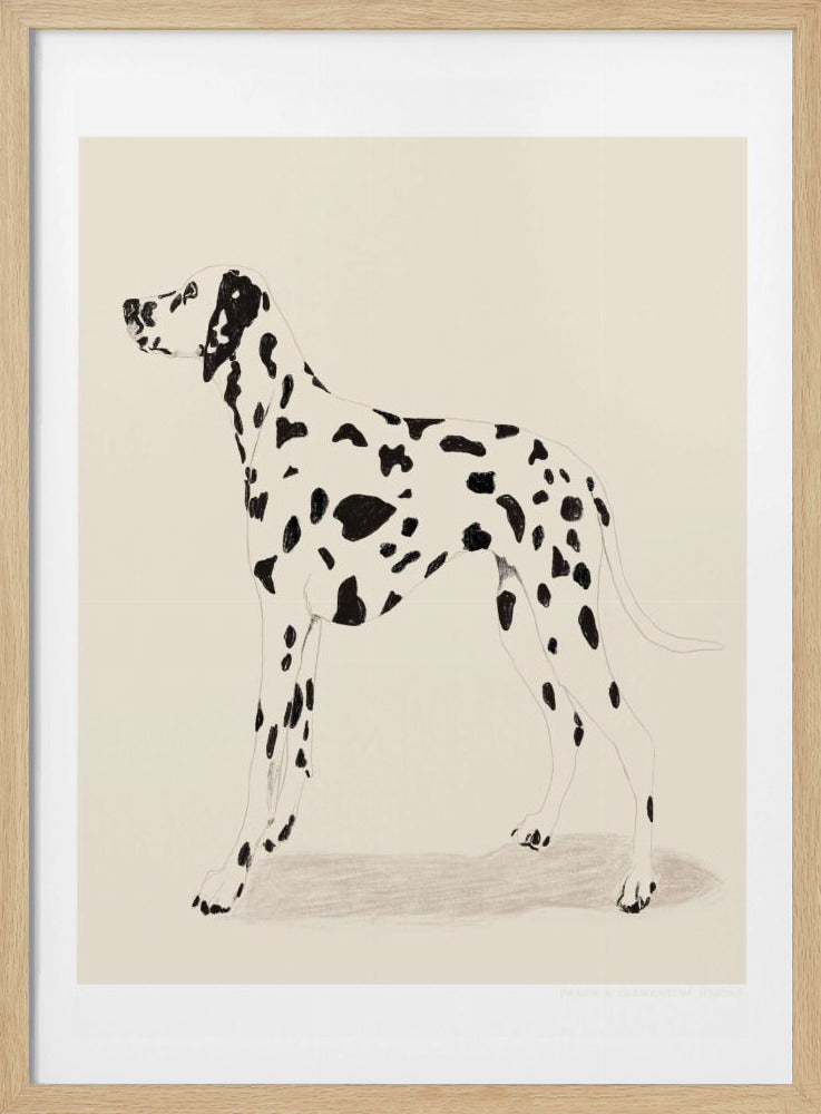 Pandc Dalmation - Poster / Art Print