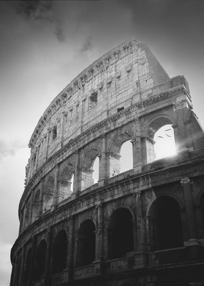 History's Tales - Poster / Art Print