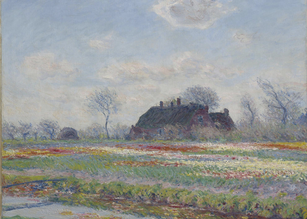 Claude Monet's Tulip Fields At Sassenheim, (1886) - Poster / Art Print