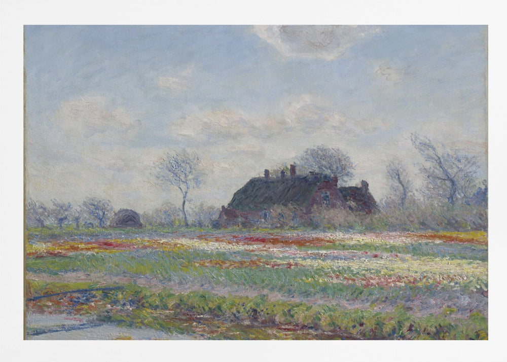 Claude Monet's Tulip Fields At Sassenheim, (1886) - Poster / Art Print