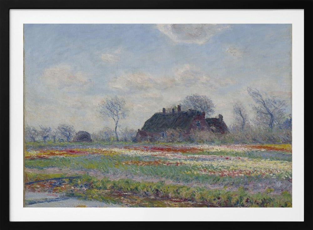 Claude Monet's Tulip Fields At Sassenheim, (1886) - Poster / Art Print