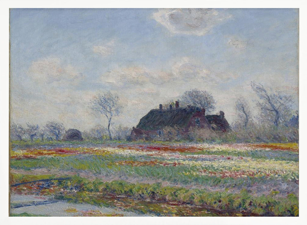 Claude Monet's Tulip Fields At Sassenheim, (1886) - Poster / Art Print