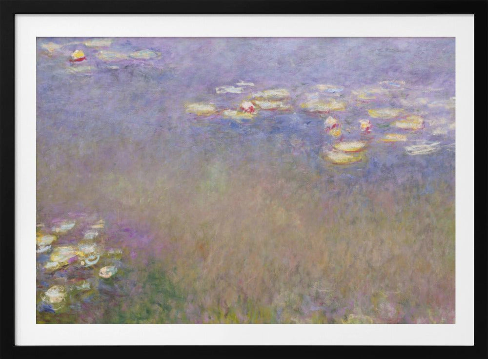 Claude Monet's Water Lilies - Poster / Art Print