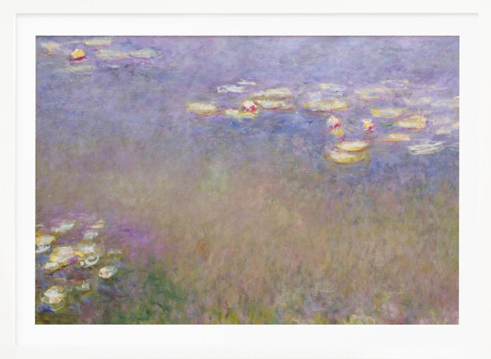 Claude Monet's Water Lilies - Poster / Art Print