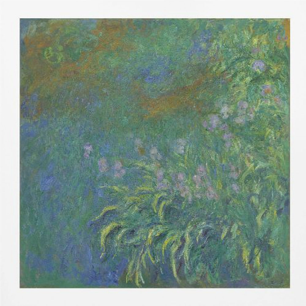 Irises By Claude Monet - Poster / Art Print