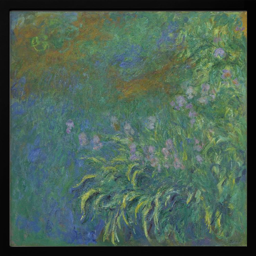 Irises By Claude Monet - Poster / Art Print