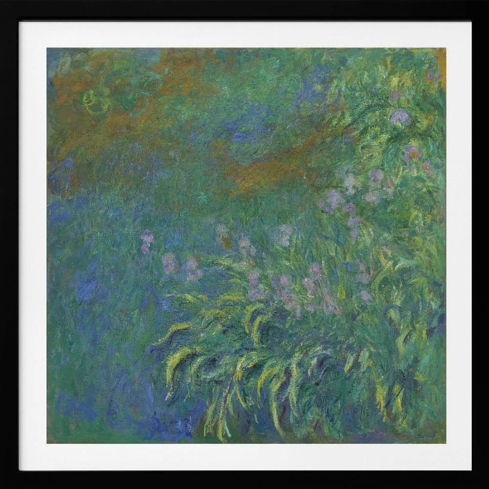 Irises By Claude Monet - Poster / Art Print