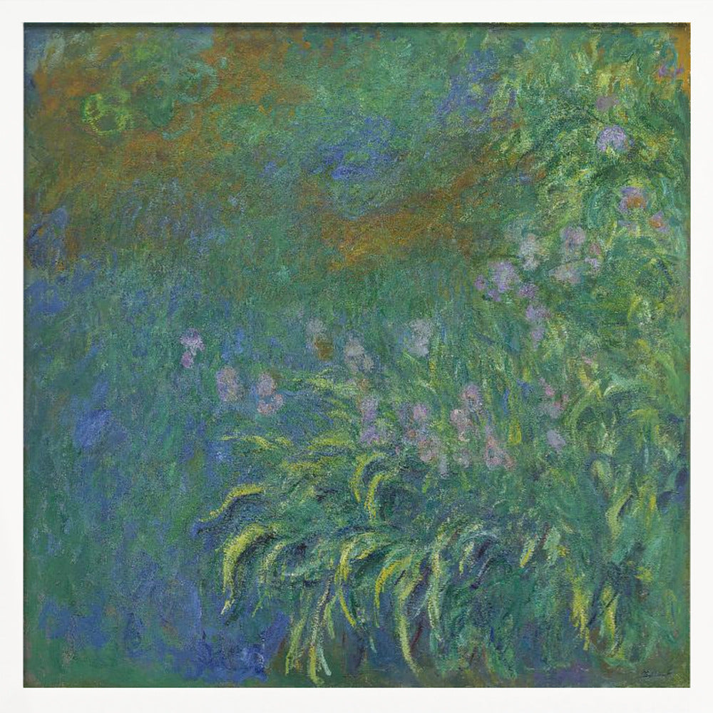 Irises By Claude Monet - Poster / Art Print