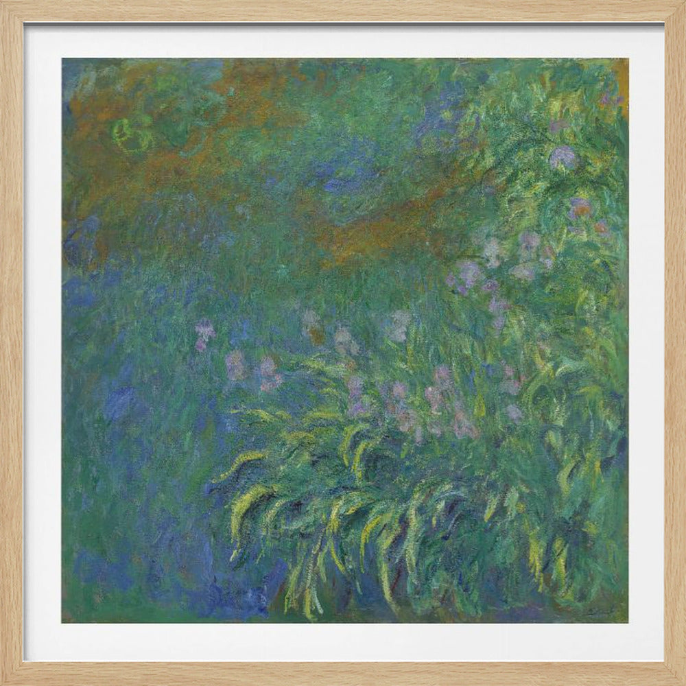 Irises By Claude Monet - Poster / Art Print