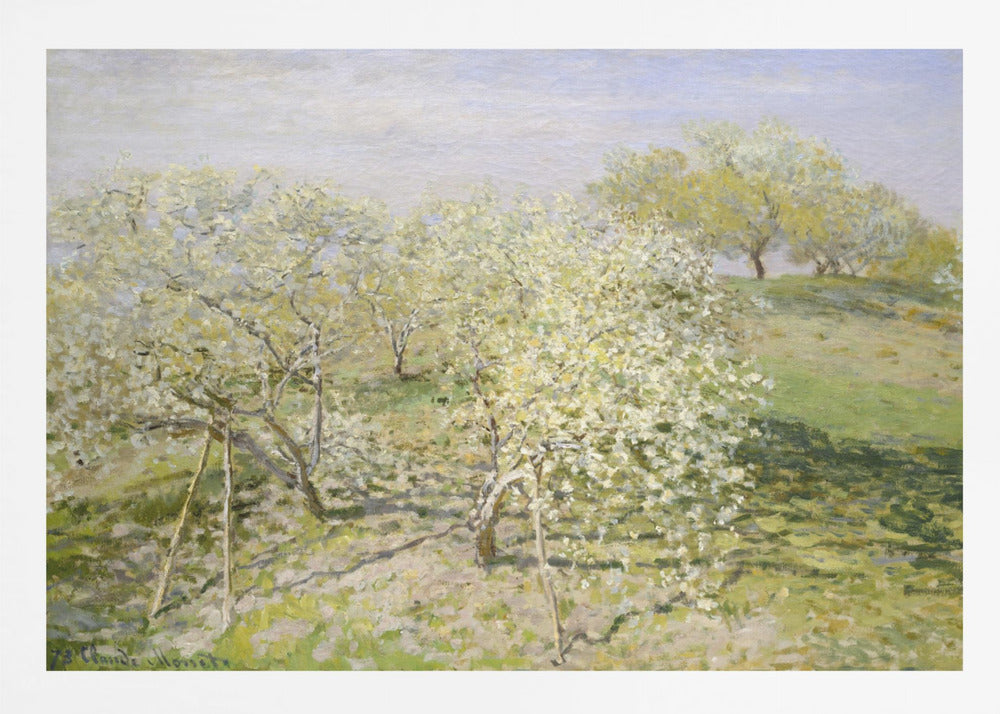 Spring (fruit Trees In Bloom) (1873) By Claude Monet - Poster / Art Print