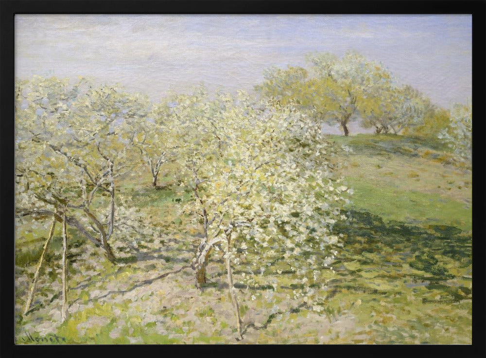 Spring (fruit Trees In Bloom) (1873) By Claude Monet - Poster / Art Print
