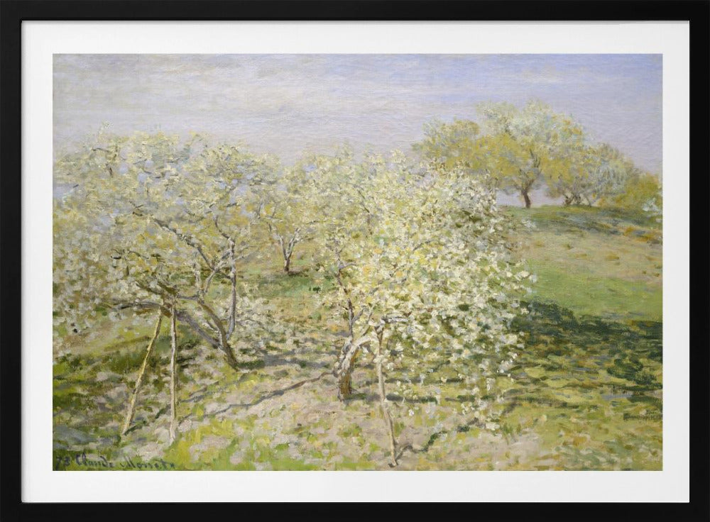 Spring (fruit Trees In Bloom) (1873) By Claude Monet - Poster / Art Print