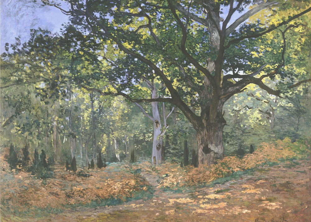 The Bodmer Oak, Fontainebleau Forest (1865) By Claude Monet - Poster / Art Print