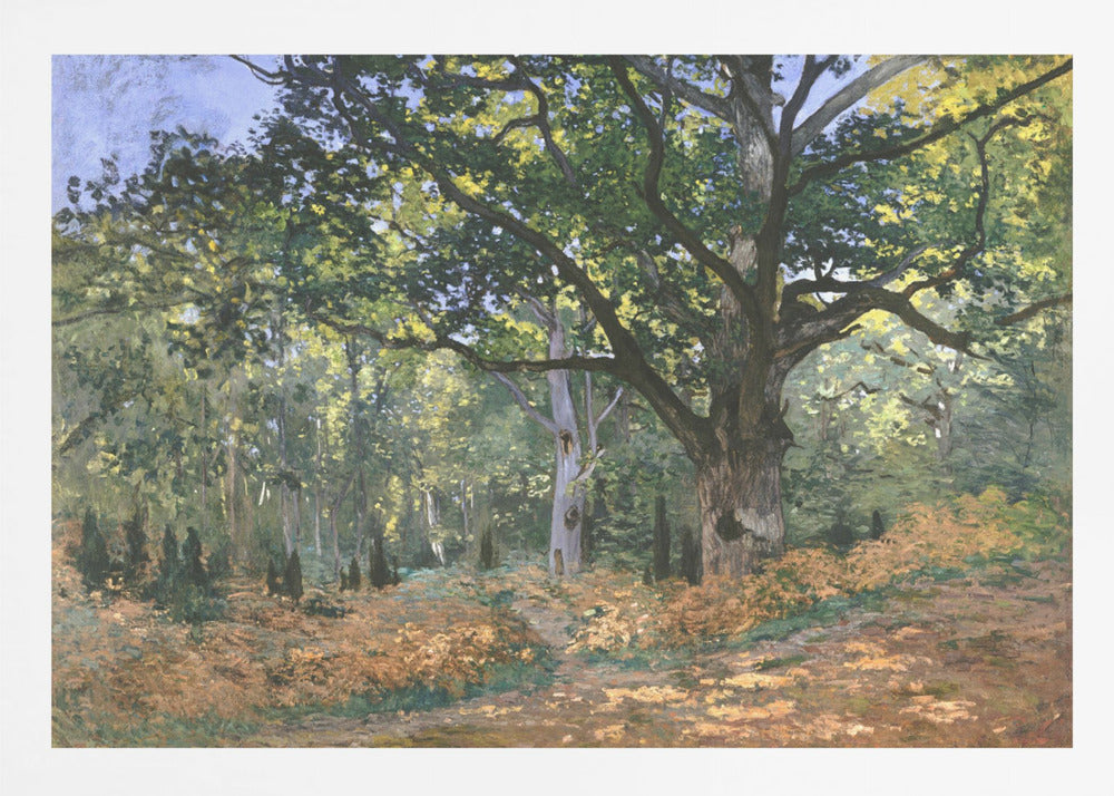The Bodmer Oak, Fontainebleau Forest (1865) By Claude Monet - Poster / Art Print