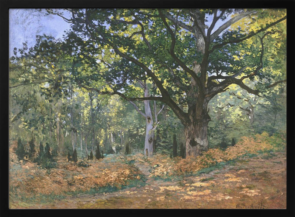 The Bodmer Oak, Fontainebleau Forest (1865) By Claude Monet - Poster / Art Print