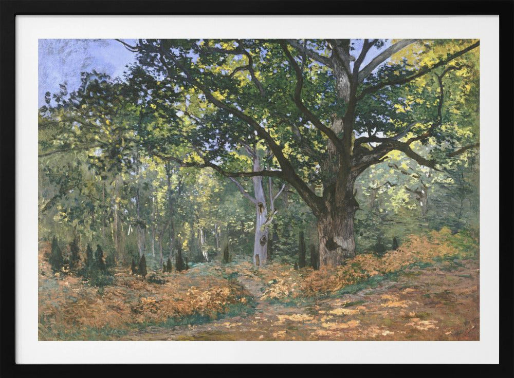 The Bodmer Oak, Fontainebleau Forest (1865) By Claude Monet - Poster / Art Print