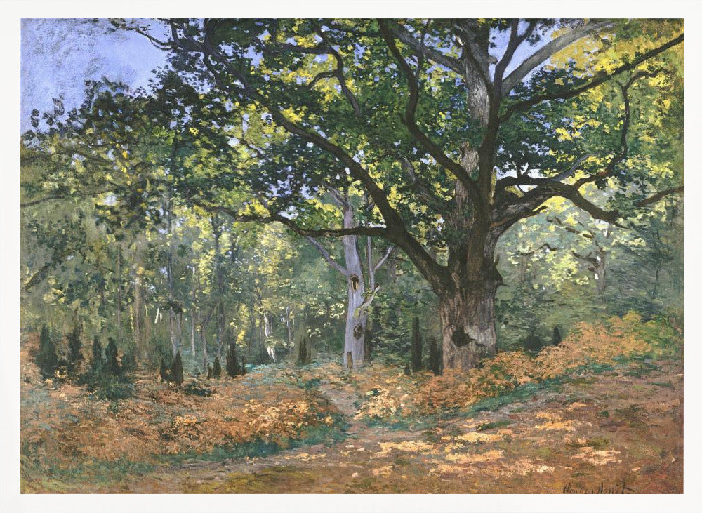 The Bodmer Oak, Fontainebleau Forest (1865) By Claude Monet - Poster / Art Print