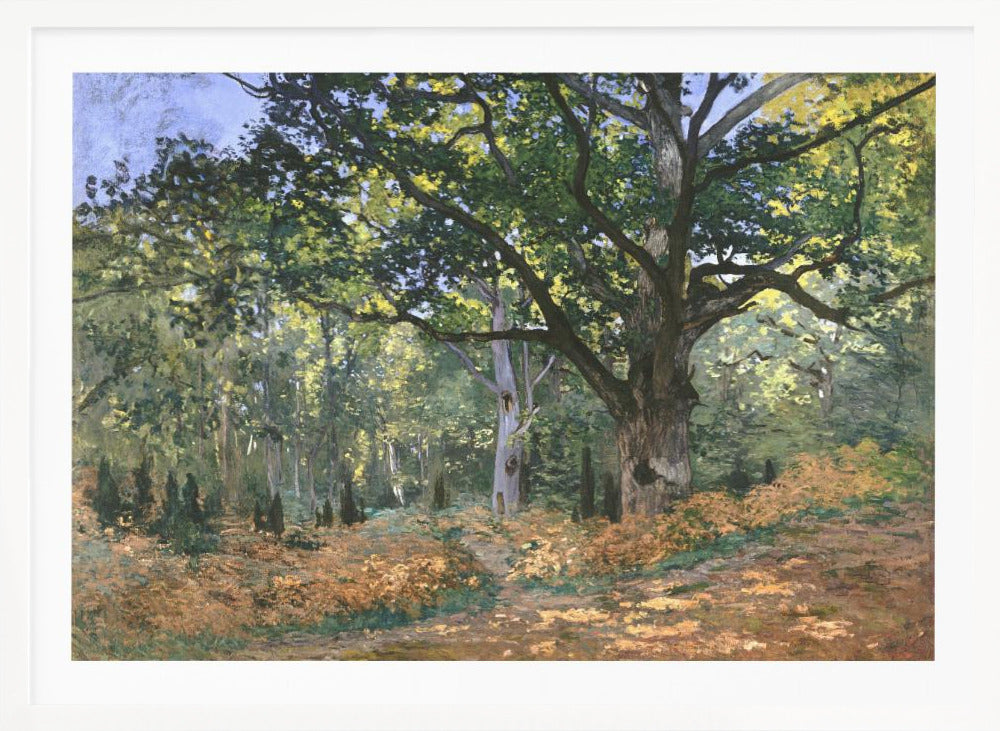 The Bodmer Oak, Fontainebleau Forest (1865) By Claude Monet - Poster / Art Print