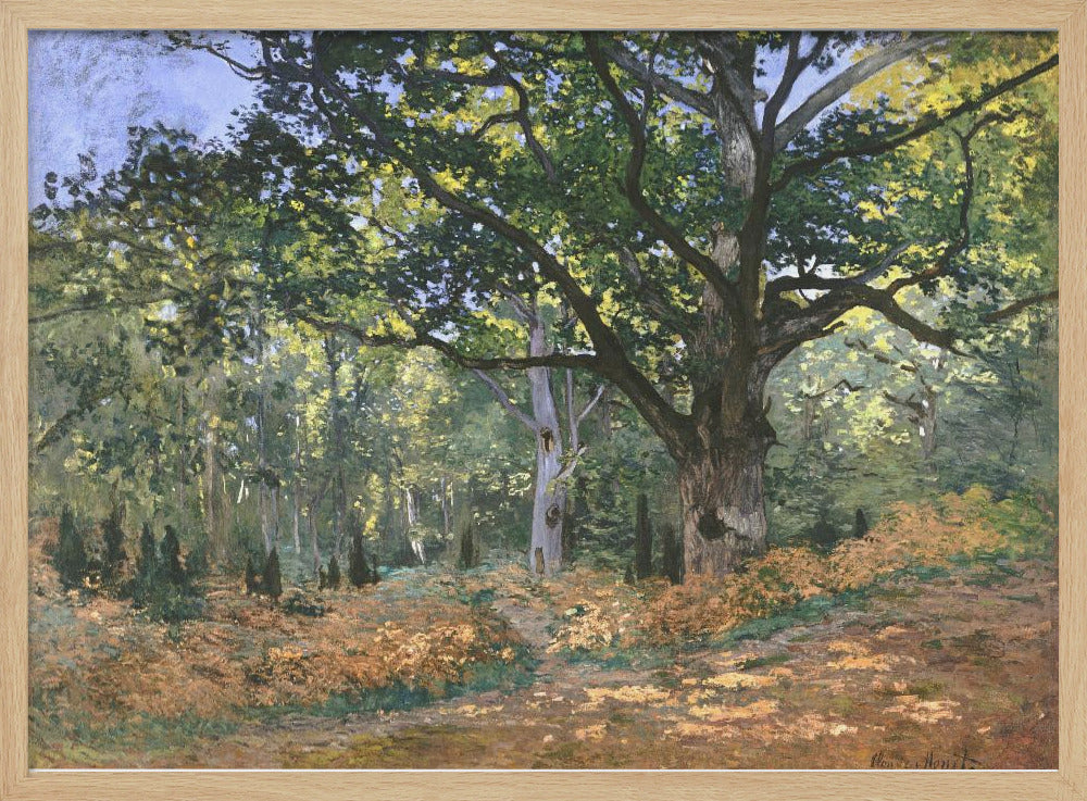 The Bodmer Oak, Fontainebleau Forest (1865) By Claude Monet - Poster / Art Print
