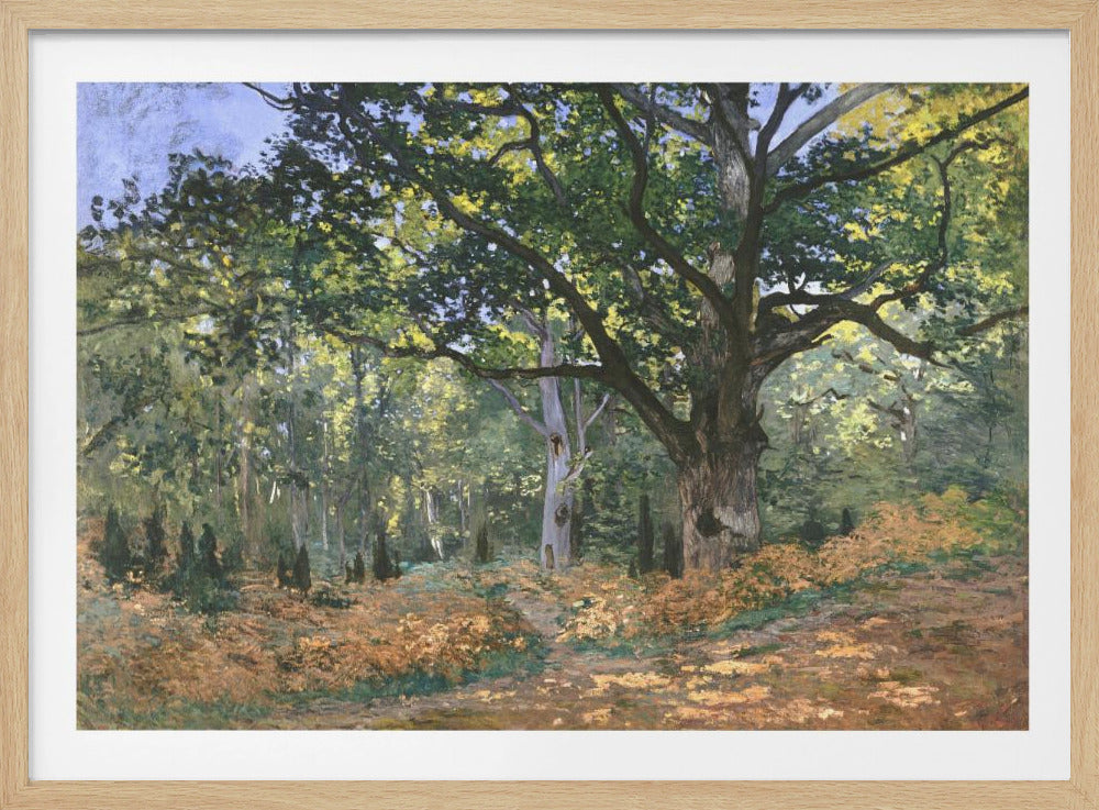 The Bodmer Oak, Fontainebleau Forest (1865) By Claude Monet - Poster / Art Print