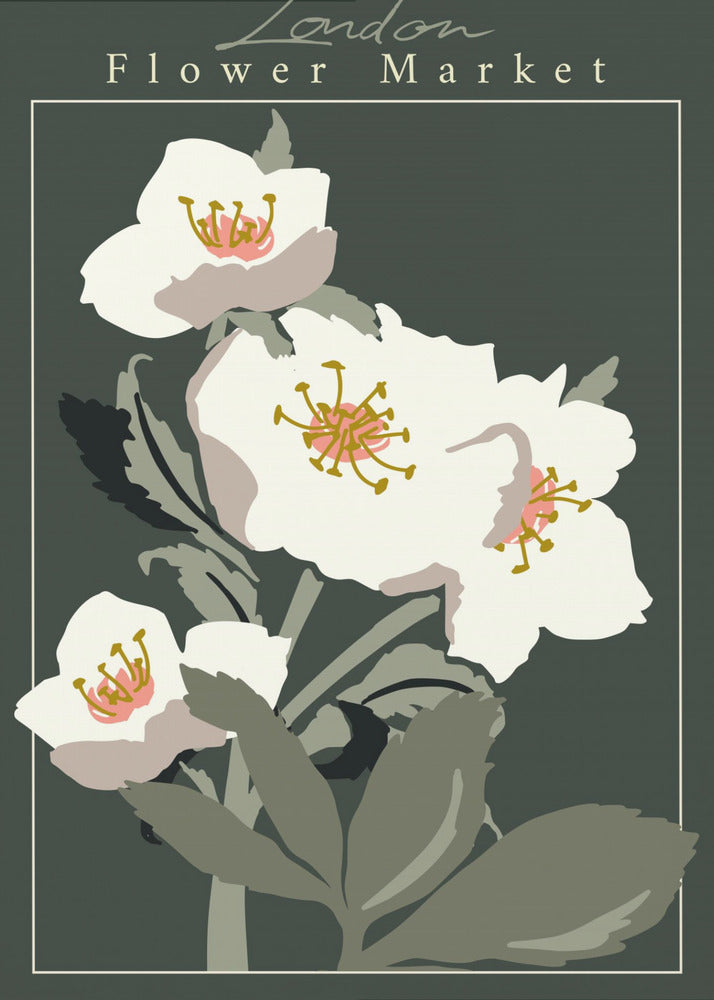 Flower Market London Hellebore - Poster / Art Print