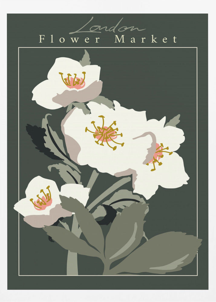Flower Market London Hellebore - Poster / Art Print