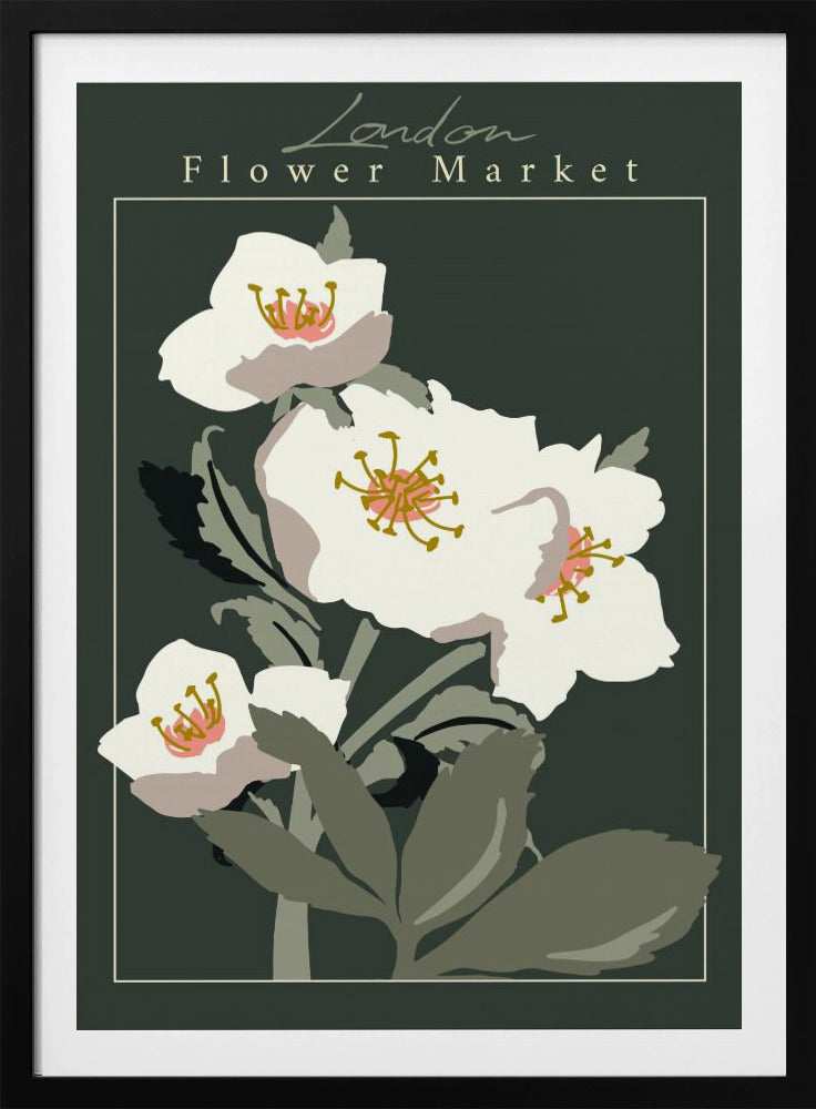 Flower Market London Hellebore - Poster / Art Print