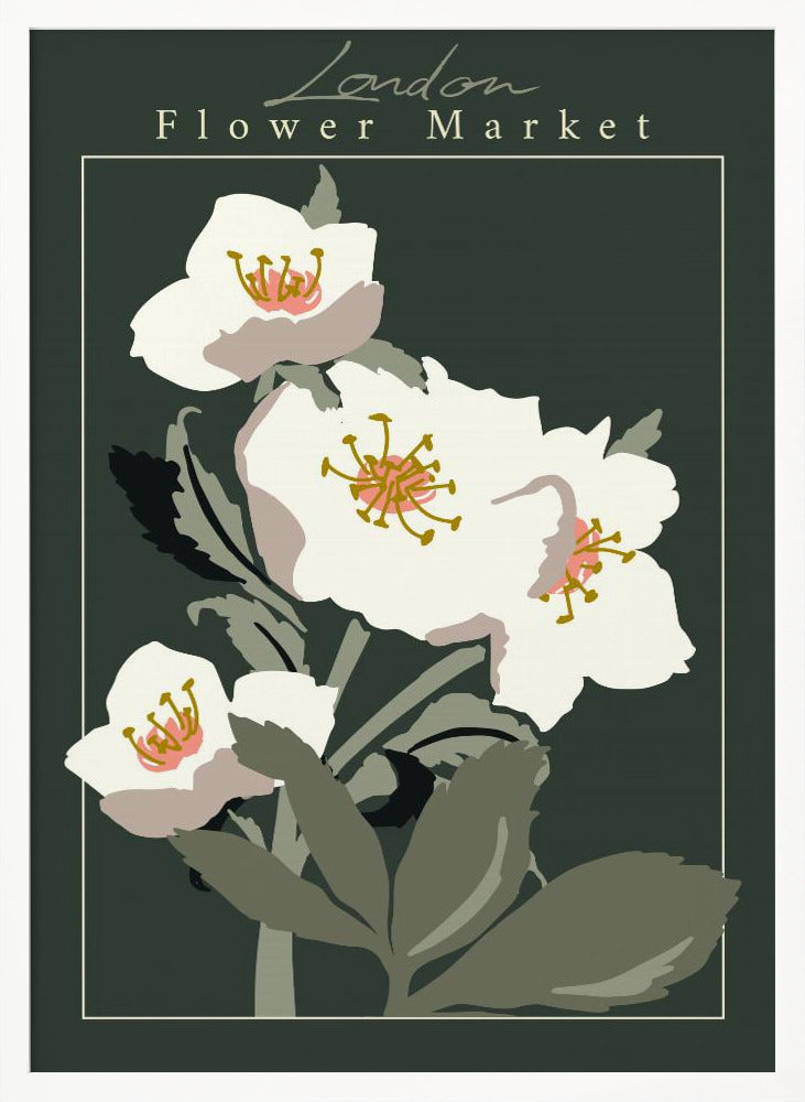 Flower Market London Hellebore - Poster / Art Print