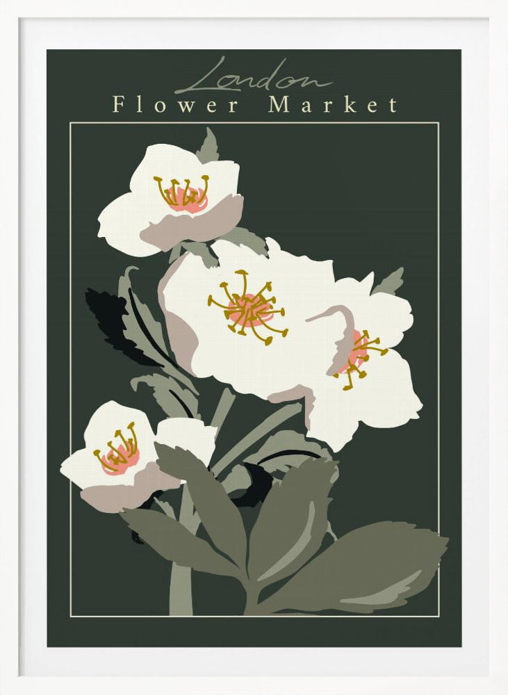 Flower Market London Hellebore - Poster / Art Print