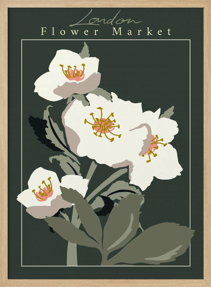 Flower Market London Hellebore - Poster / Art Print