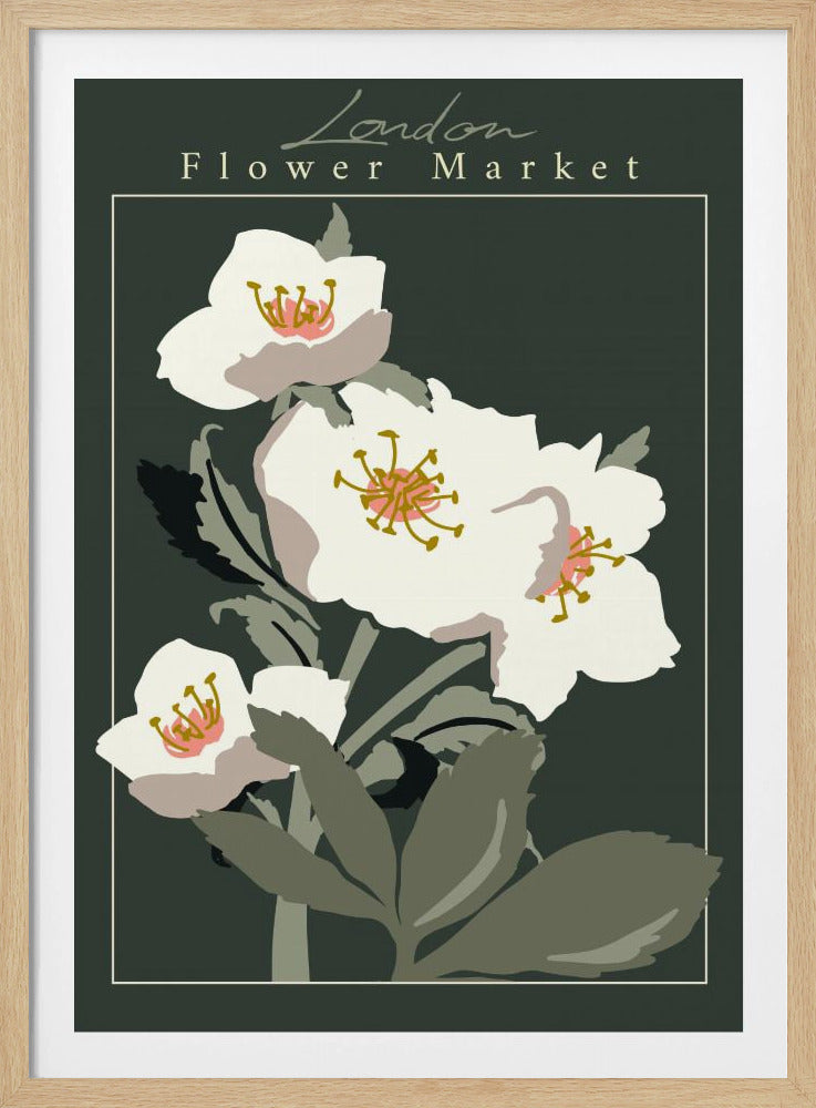Flower Market London Hellebore - Poster / Art Print