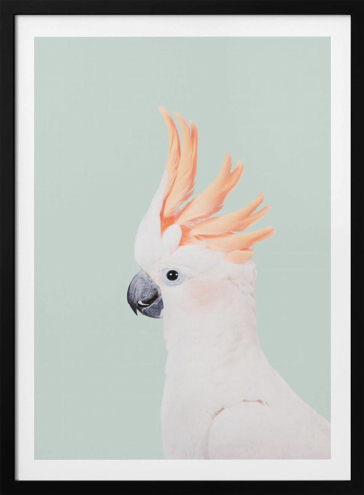 Cockatoo on Mint - Poster / Art Print