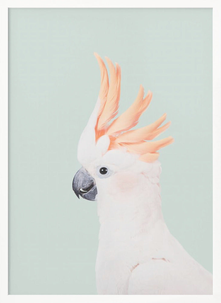 Cockatoo on Mint - Poster / Art Print