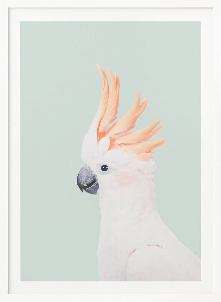 Cockatoo on Mint - Poster / Art Print