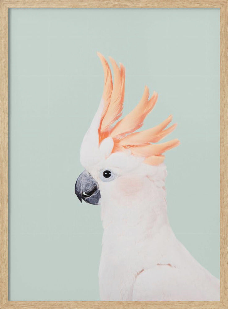 Cockatoo on Mint - Poster / Art Print