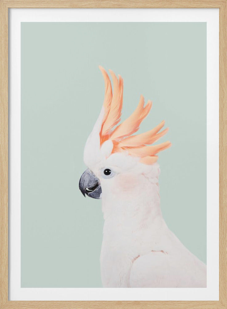 Cockatoo on Mint - Poster / Art Print