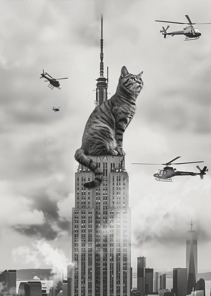 Cat on top - Poster / Art Print