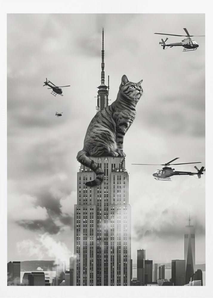 Cat on top - Poster / Art Print