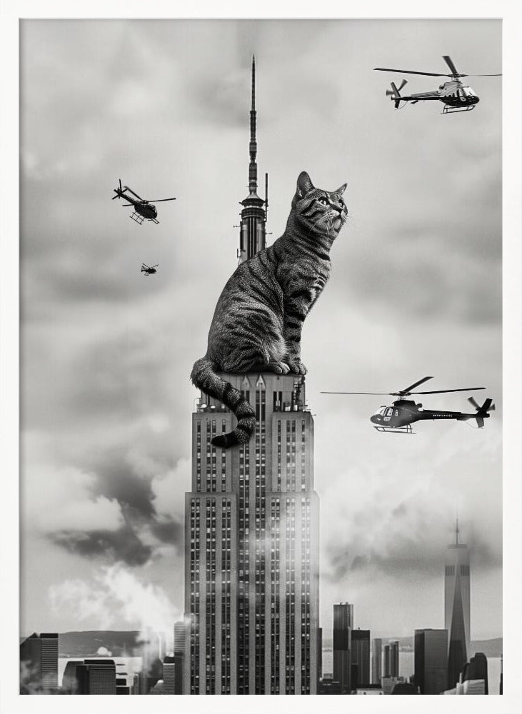 Cat on top - Poster / Art Print