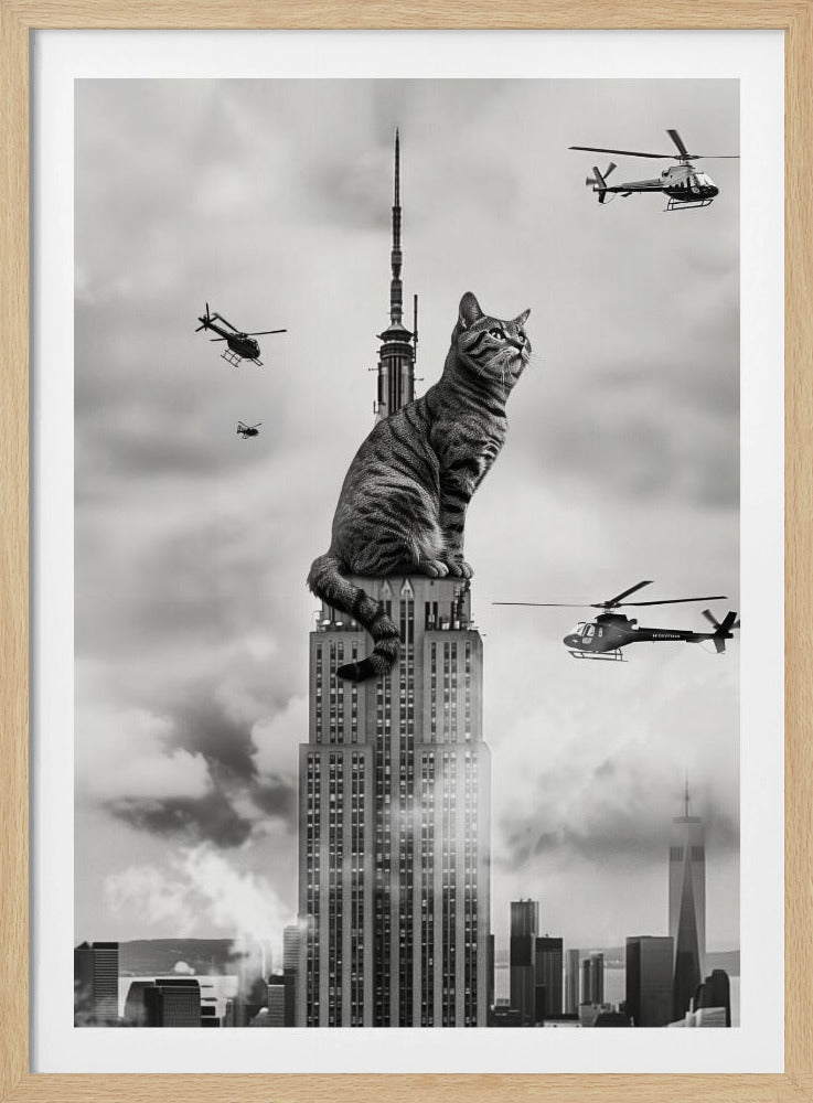 Cat on top - Poster / Art Print