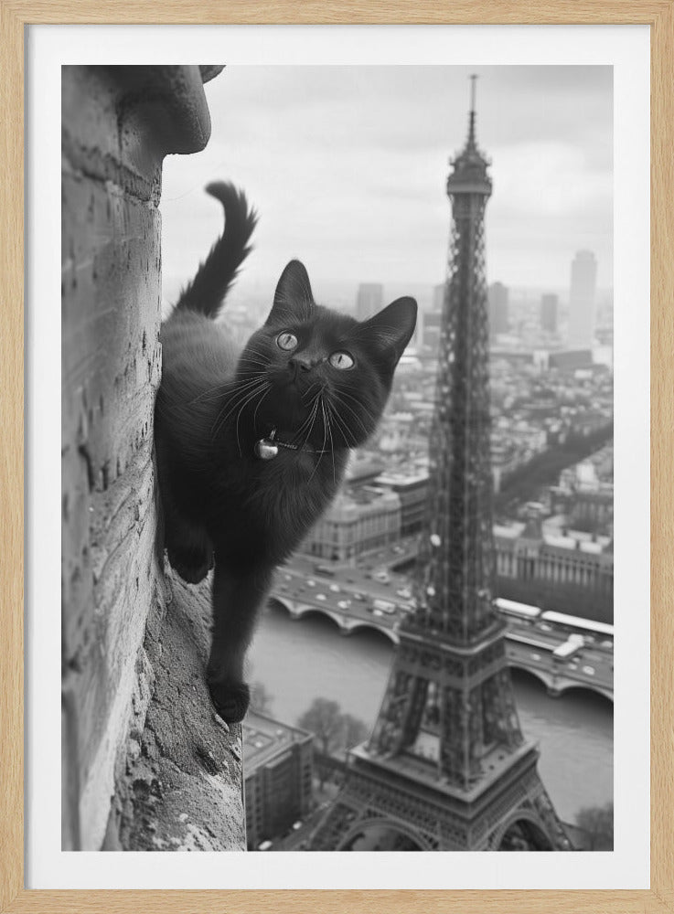 Kitty in Paris - Poster / Art Print