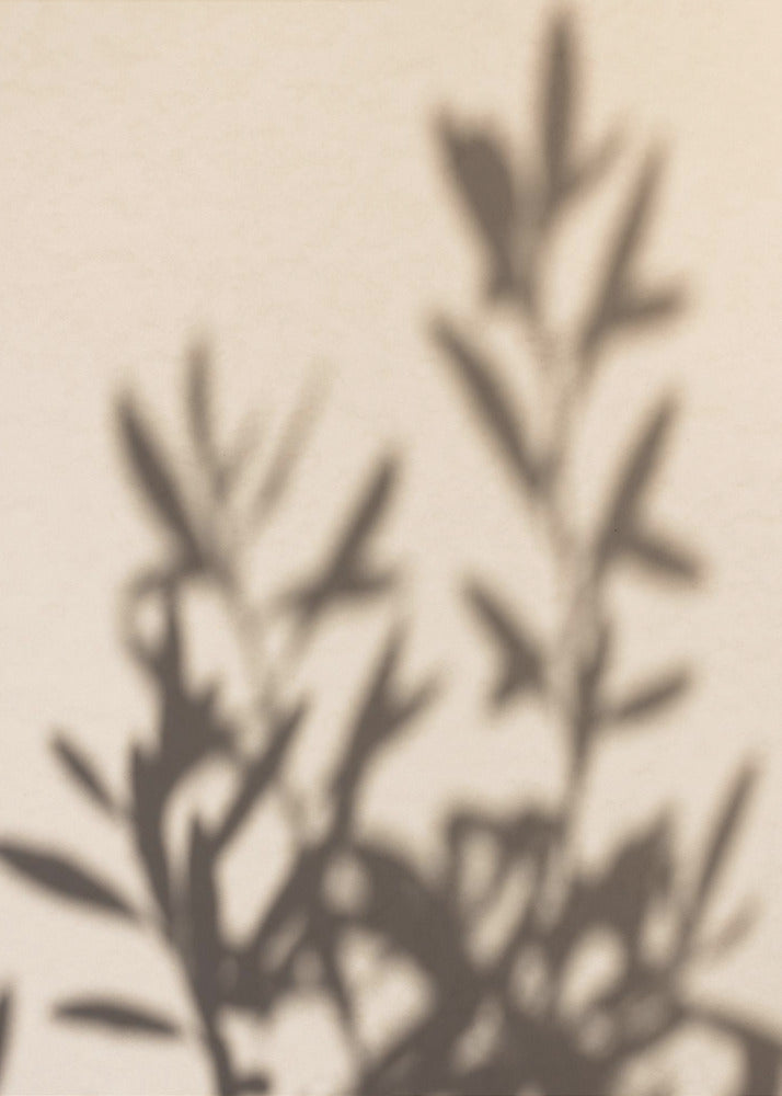 Summer Shadows 6 - Poster / Art Print