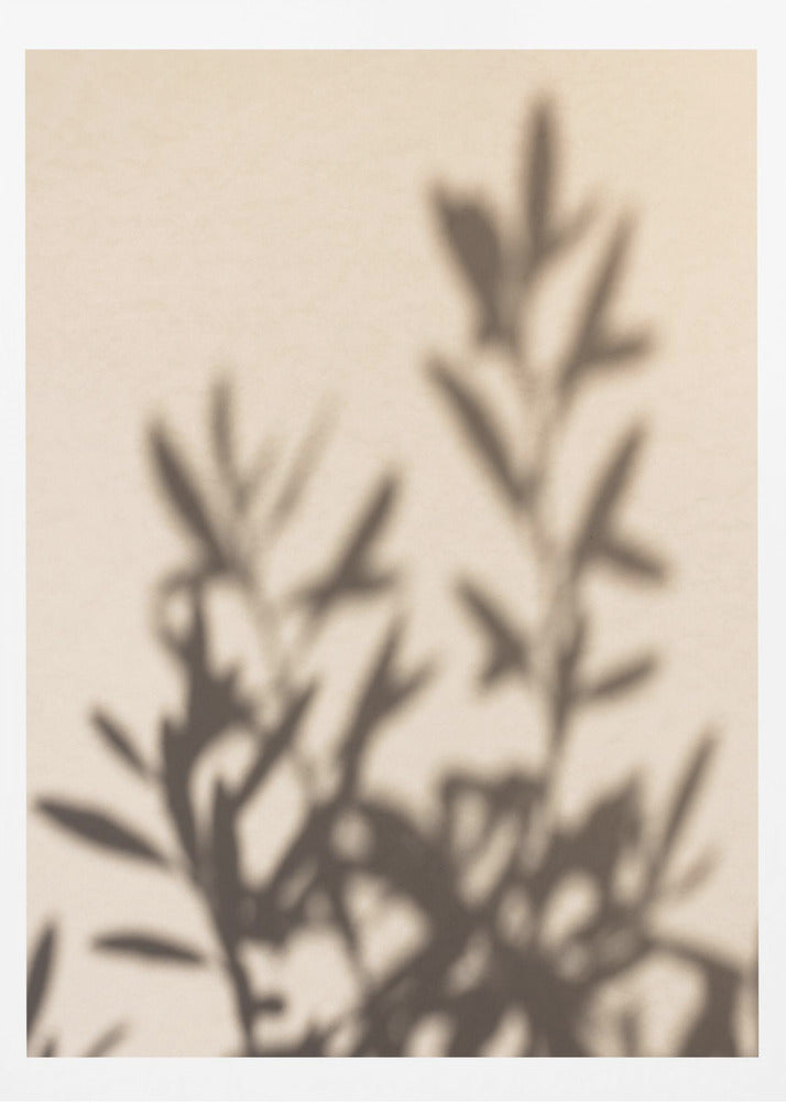 Summer Shadows 6 - Poster / Art Print