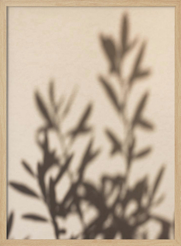 Summer Shadows 6 - Poster / Art Print